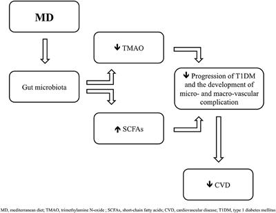 Gut Microbiota and Type 1 Diabetes Mellitus: The Effect of Mediterranean Diet